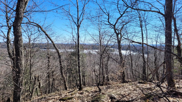 View from Les Sommets toward Lac Sir John (early spring)